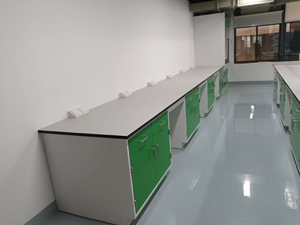 化學行業(yè)實驗室家具案例